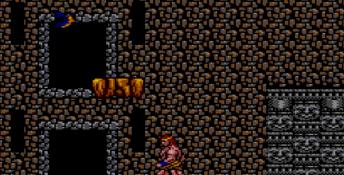 Danan: The Jungle Fighter Sega Master System Screenshot