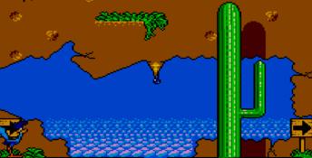 Desert Speedtrap Starring Road Runner and Wile E. Coyote