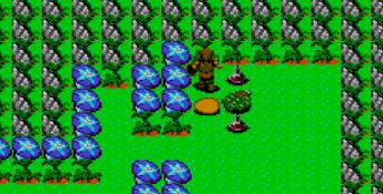 Dragon Crystal Sega Master System Screenshot