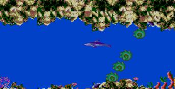 Ecco the Dolphin Sega Master System Screenshot