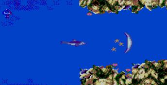 Ecco the Dolphin Sega Master System Screenshot