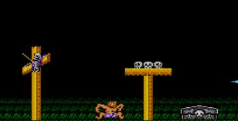 Ghouls 'n Ghosts Sega Master System Screenshot