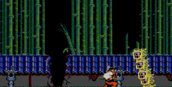 Kenseiden Sega Master System Screenshot