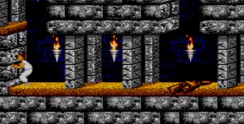 Prince of Persia Sega Master System Screenshot