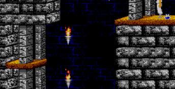 Prince of Persia Sega Master System Screenshot
