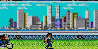 Vigilante Sega Master System Screenshot