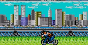 Vigilante Sega Master System Screenshot