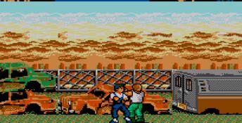 Vigilante Sega Master System Screenshot