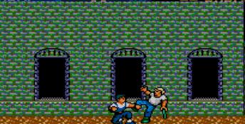 Vigilante Sega Master System Screenshot