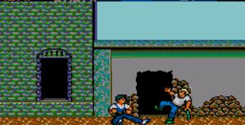 Vigilante Sega Master System Screenshot