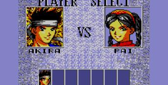Virtua Fighter Animation Sega Master System Screenshot