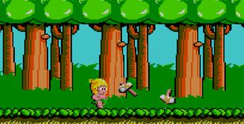 Wonder Boy (1987) Sega Master System Screenshot