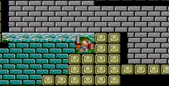 Wonder Boy 3: The Dragon's Trap Sega Master System Screenshot