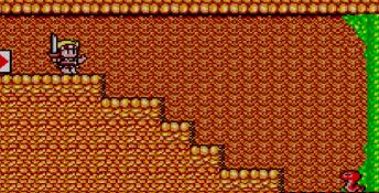 Wonder Boy in Monster Land Sega Master System Screenshot