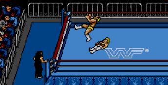 WWF Wrestlemania Steel Cage Challenge Sega Master System Screenshot