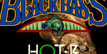 Bassin's Black Bass with Hank Parker SNES Screenshot