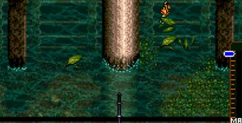 Bassin's Black Bass with Hank Parker SNES Screenshot