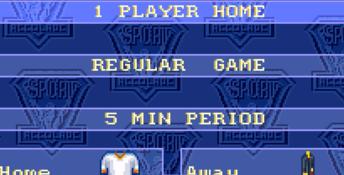 Brett Hull Hockey '95 SNES Screenshot