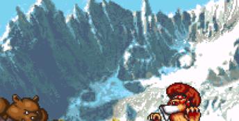 Brutal: Paws Of Fury SNES Screenshot