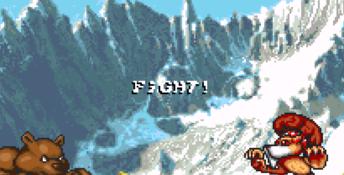 Brutal: Paws Of Fury SNES Screenshot