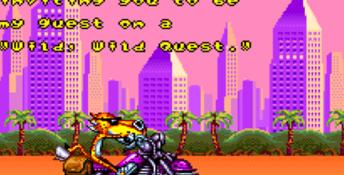 Chester Cheetah: Wild Wild Quest