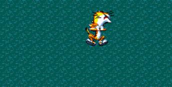 Chester Cheetah: Wild Wild Quest