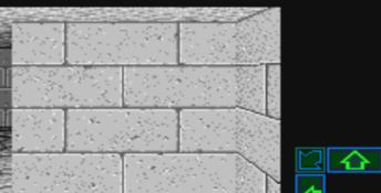 Dungeon Master SNES Screenshot