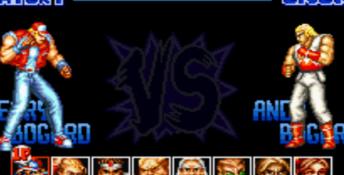 Fatal Fury Special