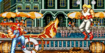 Fatal Fury Special