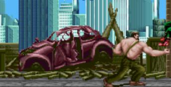 Final Fight Guy