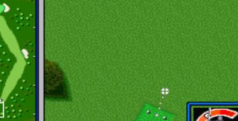 Hal's Hole in One Golf
