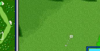 Hal's Hole in One Golf