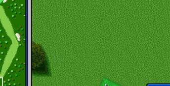 Hal's Hole in One Golf