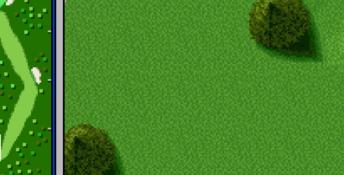 Hal's Hole in One Golf