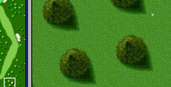 Hal's Hole in One Golf SNES Screenshot