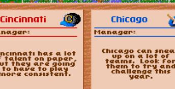 Hardball 3 SNES Screenshot