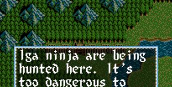 Inindo: Way of the Ninja SNES Screenshot