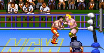 Natsume Championship Wrestling SNES Screenshot