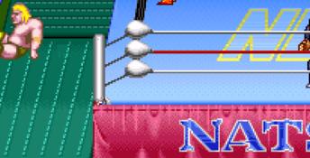 Natsume Championship Wrestling SNES Screenshot