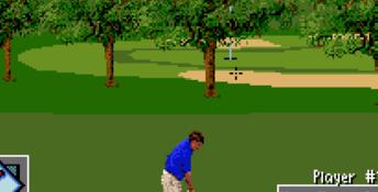 PGA European Tour SNES Screenshot