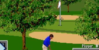 PGA European Tour SNES Screenshot
