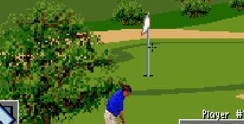 PGA European Tour SNES Screenshot