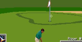 PGA Tour 96 SNES Screenshot