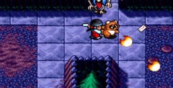 Pocky & Rocky (1992)