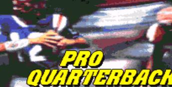 Pro Quarterback SNES Screenshot