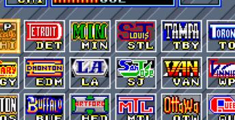 Pro Sport Hockey SNES Screenshot
