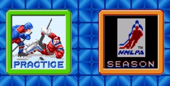Pro Sport Hockey
