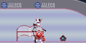 Pro Sport Hockey