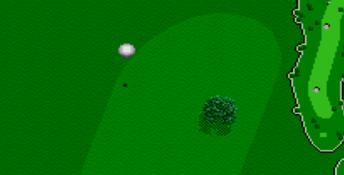 Irem Skins Game