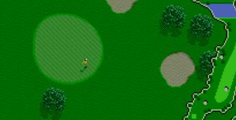 Irem Skins Game SNES Screenshot